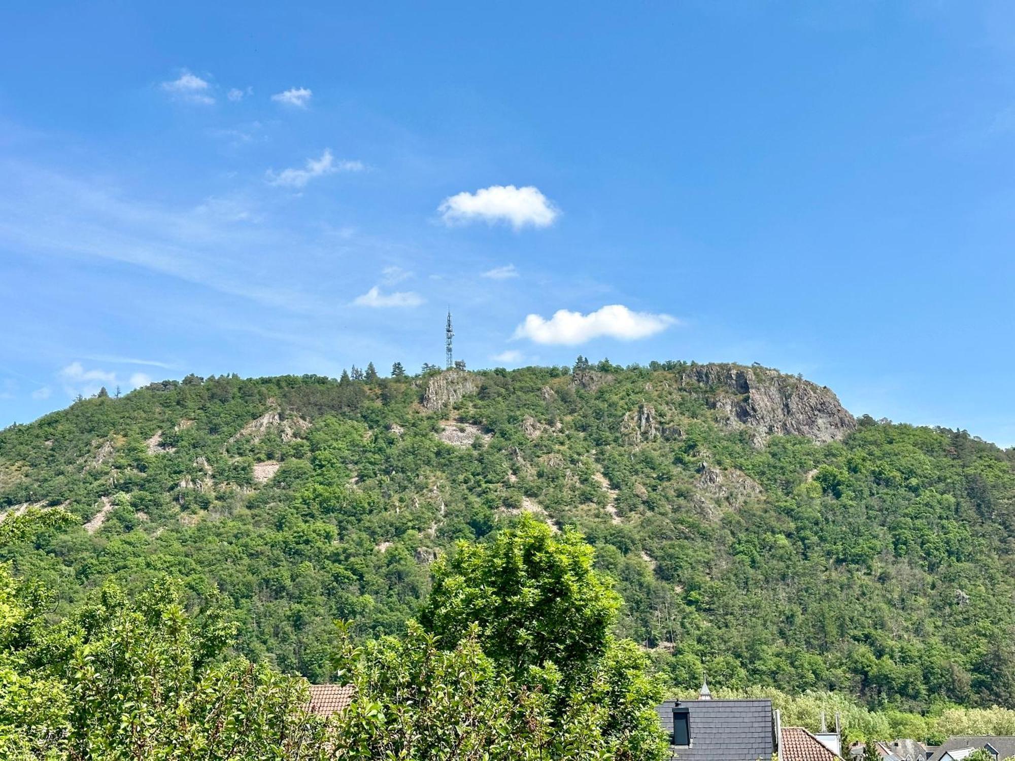 Rheingrafenblick Mit Infrarotkabine Apartment